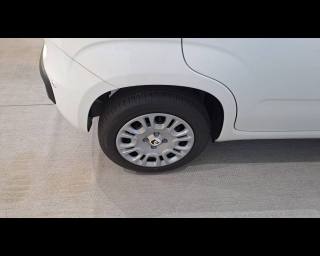 FIAT Panda usata 15