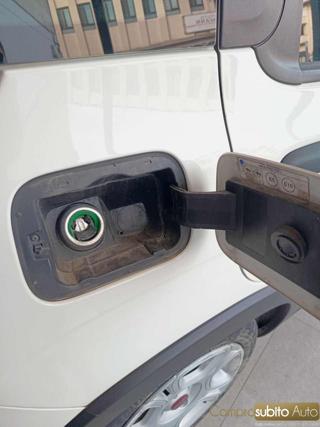 FIAT Panda usata 22