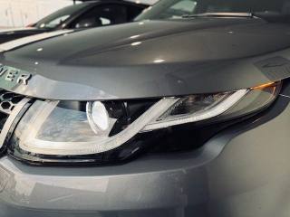 LAND ROVER Range Rover Evoque usata, con Regolazione elettrica sedili