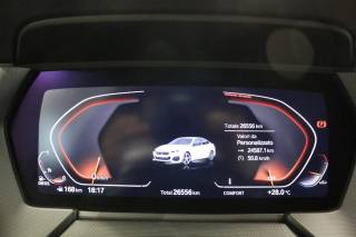 BMW 220 usata, con Fendinebbia