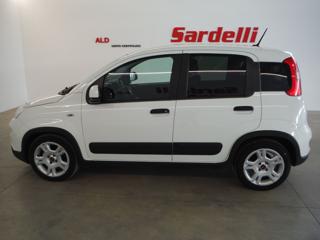 FIAT Panda usata, con Bluetooth