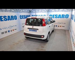 FIAT New Panda usata, con Airbag Passeggero