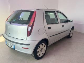 FIAT Punto usata 8
