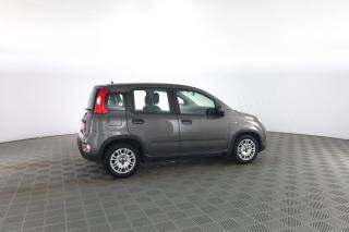 FIAT Panda usata 2