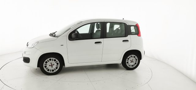 FIAT Panda usata, con Airbag Passeggero