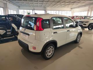 FIAT Panda usata, con Alzacristalli elettrici