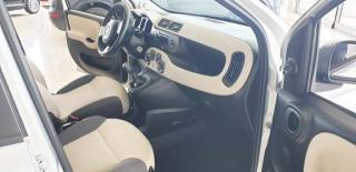 FIAT Panda usata, con Filtro antiparticolato