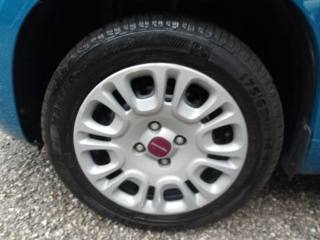 FIAT Panda usata 16