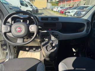 FIAT Panda usata 10