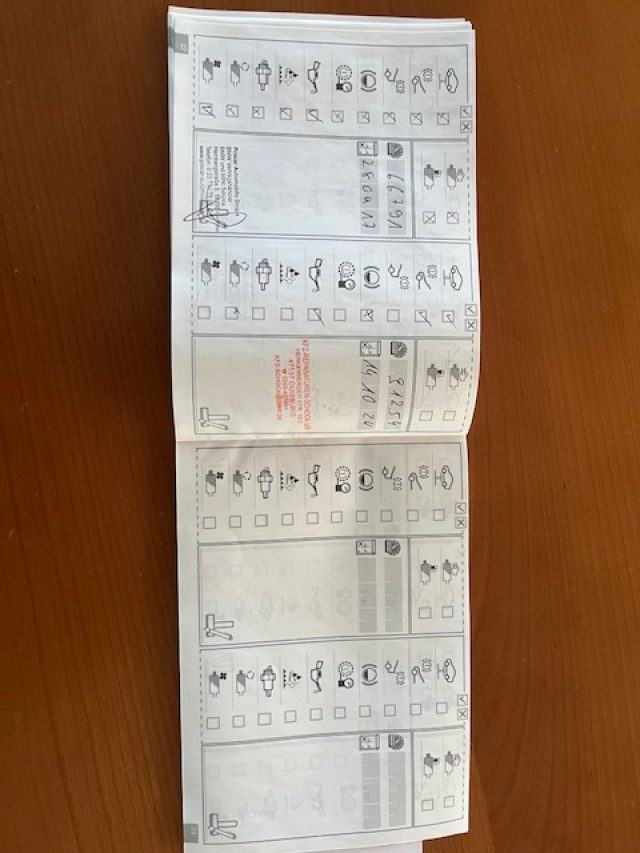 BMW Z4 usata, con Bracciolo