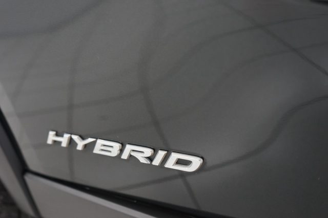 LEXUS UX 250h usata, con Sensori di parcheggio posteriori