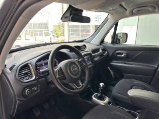 JEEP Renegade usata, con Bracciolo