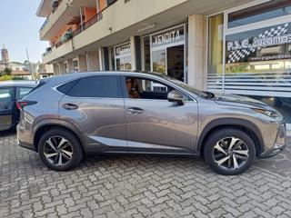 LEXUS NX 300 usata, con Fari Xenon