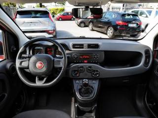 FIAT Panda usata, con Controllo trazione