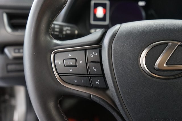 LEXUS UX 250h usata 33