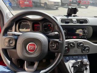 FIAT Panda usata 15