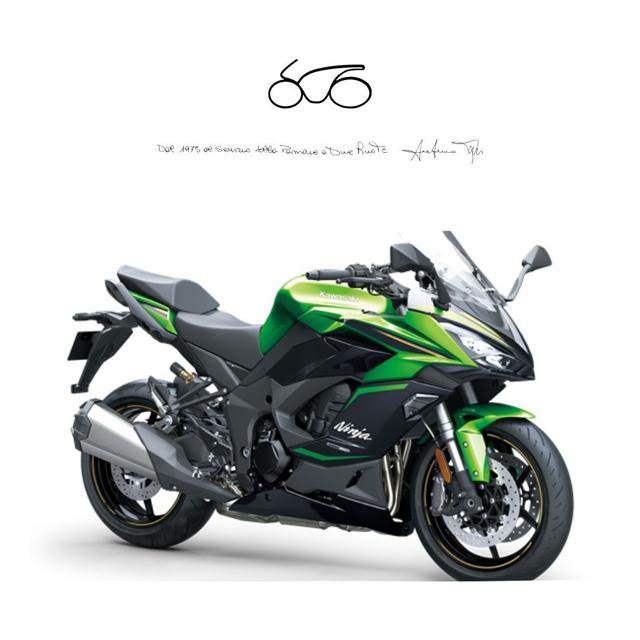 KAWASAKI Ninja 1100SX SE usata 0