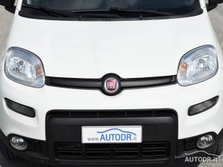 FIAT Panda usata 31