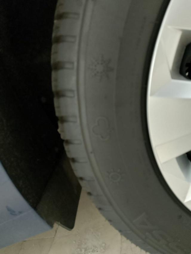 VOLKSWAGEN Polo usata, con Cronologia tagliandi