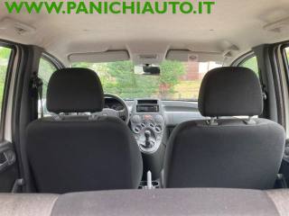 FIAT Panda usata, con Fendinebbia