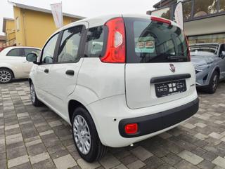 FIAT Panda usata, con Airbag Passeggero