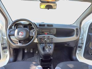 FIAT Panda usata 16