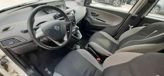 LANCIA Ypsilon usata 18