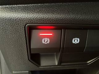 RENAULT Austral usata, con Hill holder