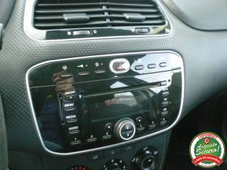 FIAT Punto usata 17