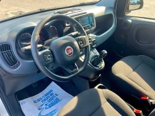 FIAT Panda usata, con Vivavoce