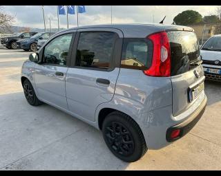 FIAT Panda usata, con Controllo trazione