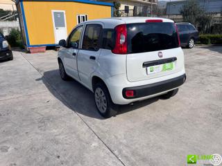 FIAT Panda usata, con Alzacristalli elettrici