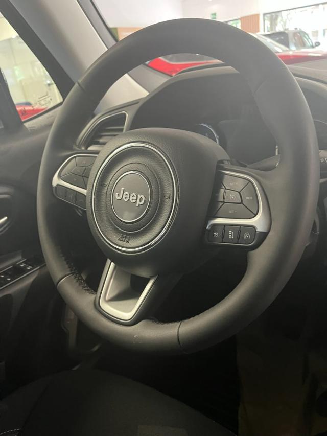 JEEP Renegade usata, con Specchietti laterali elettrici