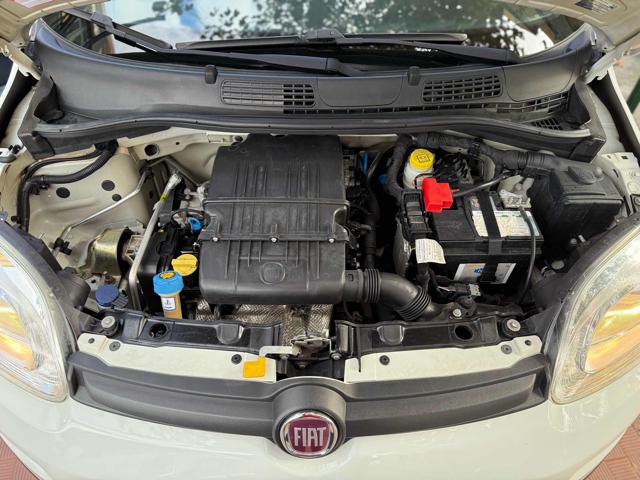 FIAT Panda usata 17