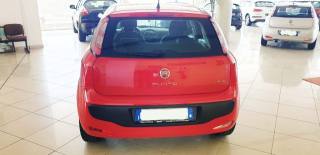 FIAT Punto Evo usata, con Alzacristalli elettrici
