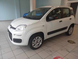 FIAT Panda usata, con Airbag