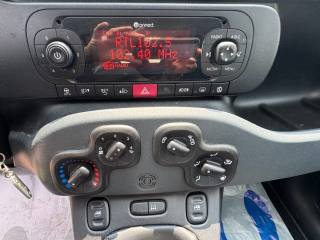 FIAT New Panda usata, con Cronologia tagliandi