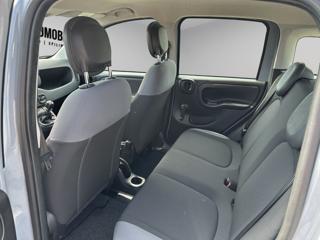 FIAT Panda usata, con Cronologia tagliandi