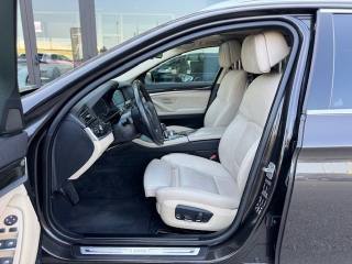 BMW 520 usata, con Climatizzatore