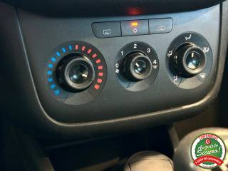 FIAT Punto usata, con Fendinebbia