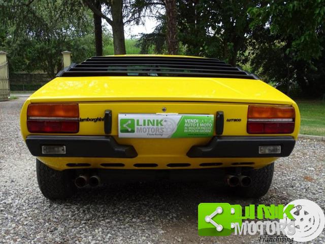 LAMBORGHINI Urraco P250 usata 5