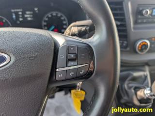 FORD Transit usata 20