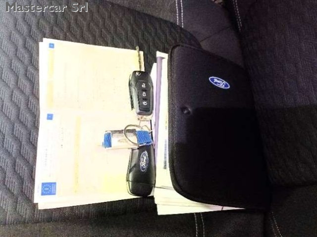 FORD Puma usata, con Fendinebbia