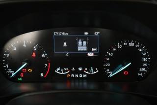 FORD Focus usata 6