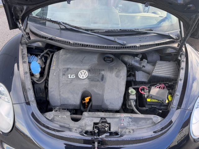 VOLKSWAGEN New Beetle usata, con Bracciolo