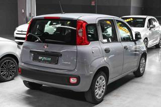 FIAT Panda usata, con Antifurto