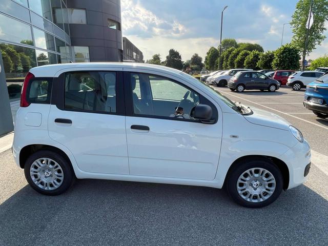 FIAT Panda usata, con Alzacristalli elettrici