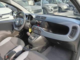 FIAT Panda usata, con Airbag testa