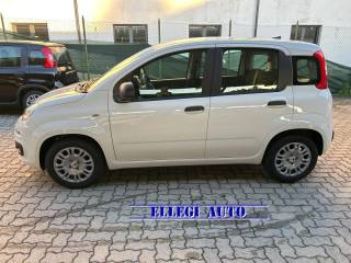 FIAT Panda usata, con Antifurto