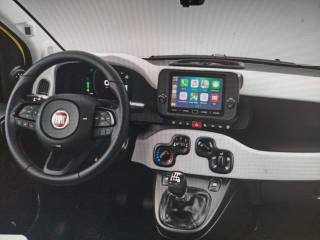 FIAT Panda Cross usata, con Antifurto